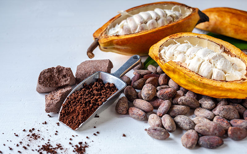 El chocolate como motor de cambio sostenible